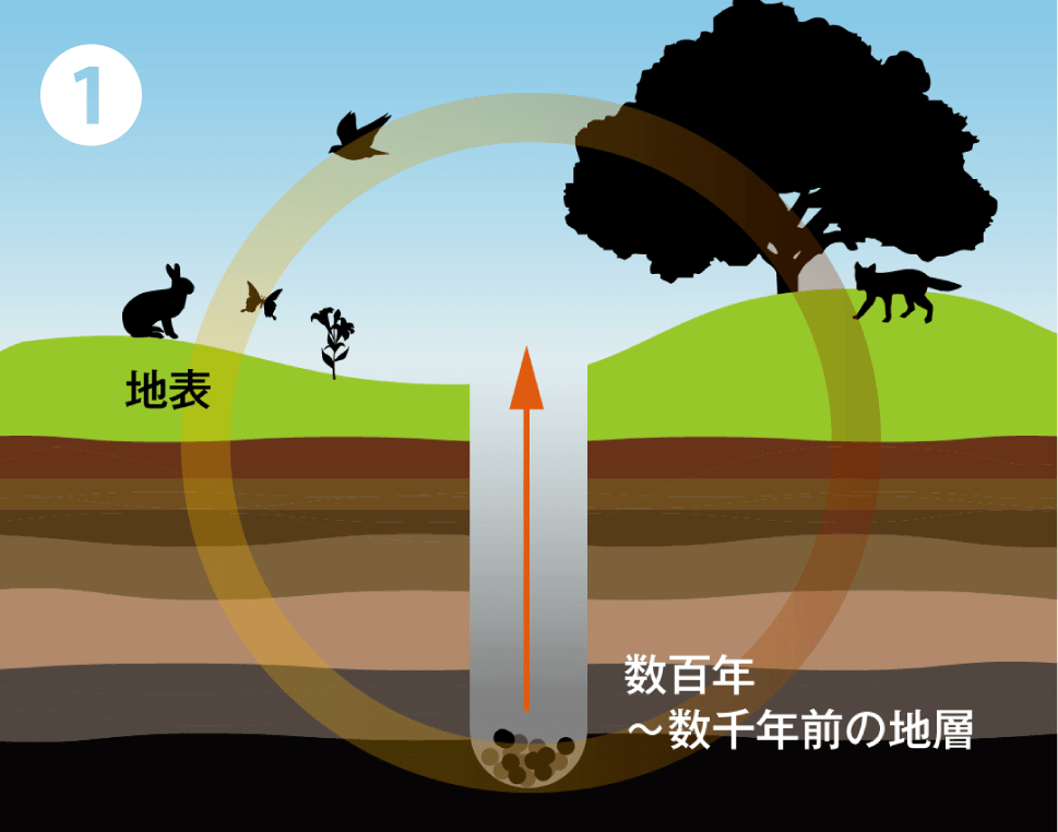 フルボ酸エキスの成分を多く含む数千年～数万年前の特殊土壌を採掘