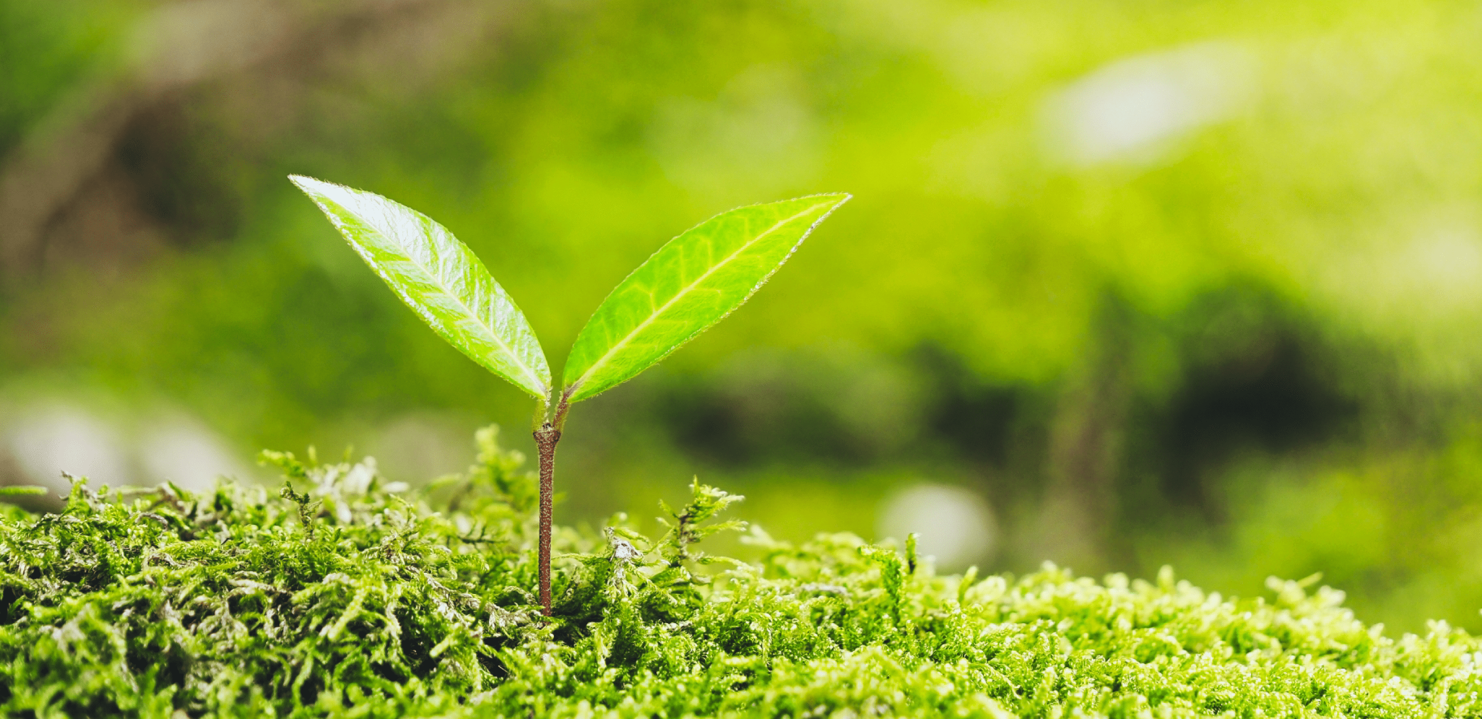 企業理念・会社概要