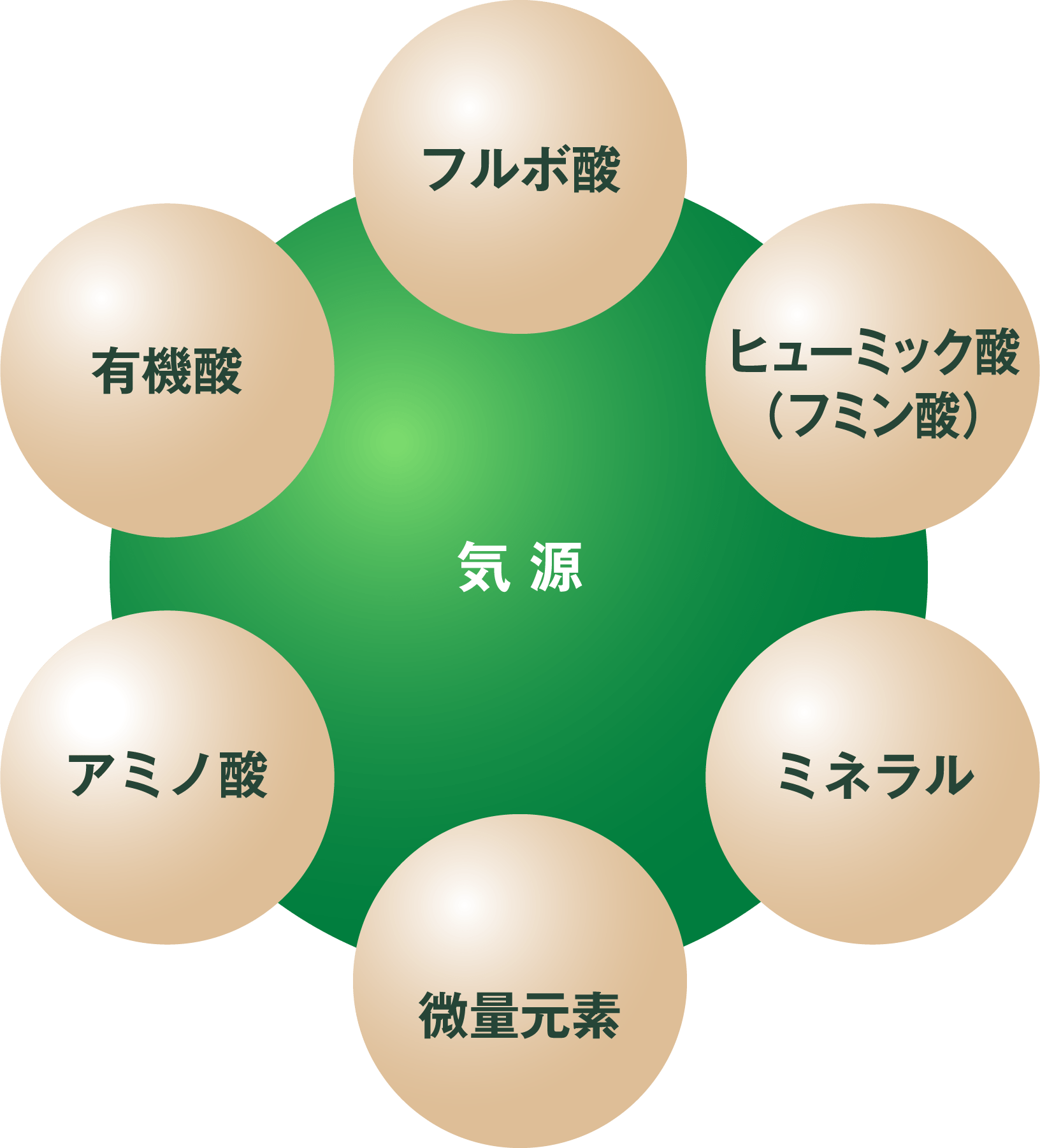 気 源 (フルボ酸・ヒューミック酸（フミン酸）・ミネラル・微量元素・アミノ酸・有機酸)