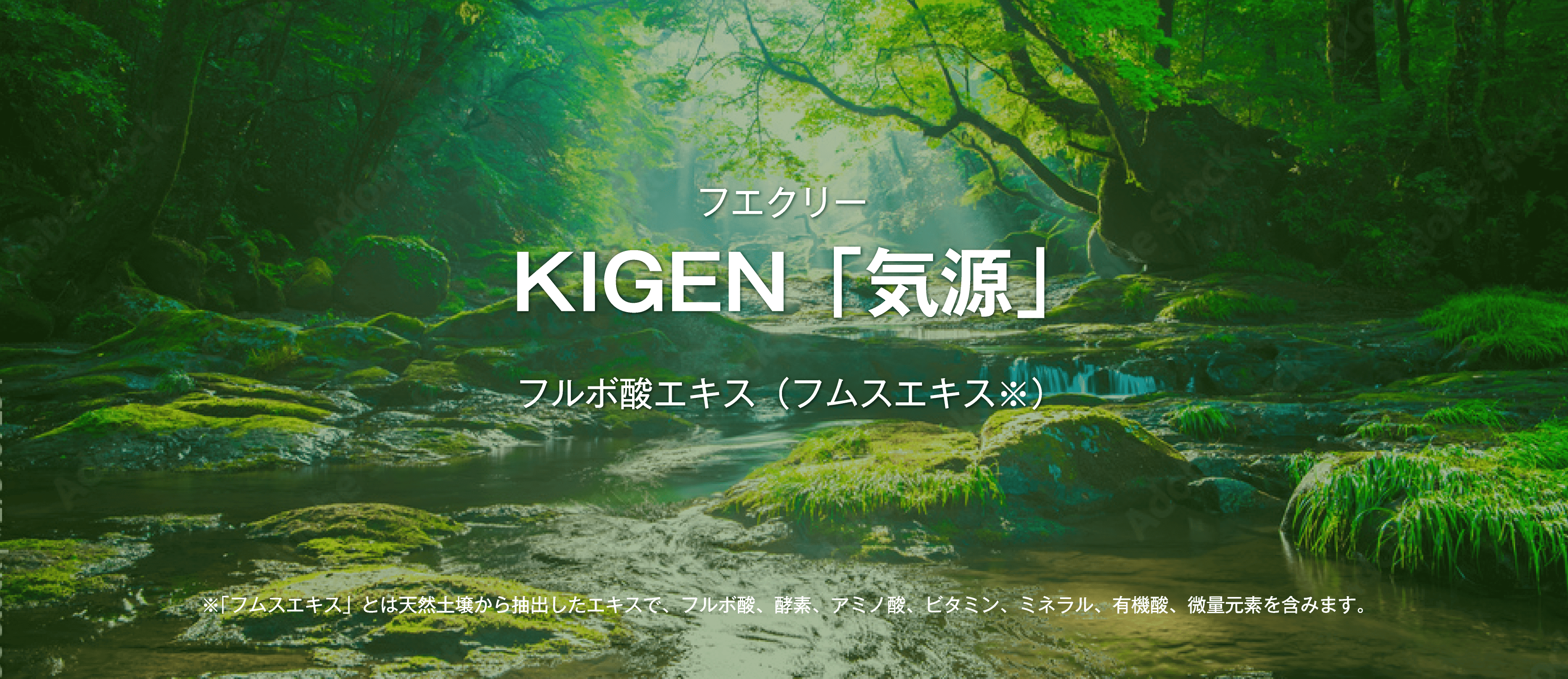 フエクリー KIGEN「気源」 フルボ酸エキス（フムスエキス※） ※「フムスエキス」とは天然土壌から抽出したエキスで、フルボ酸、酵素、アミノ酸、ビタミン、ミネラル、有機酸、微量元素を含みます。